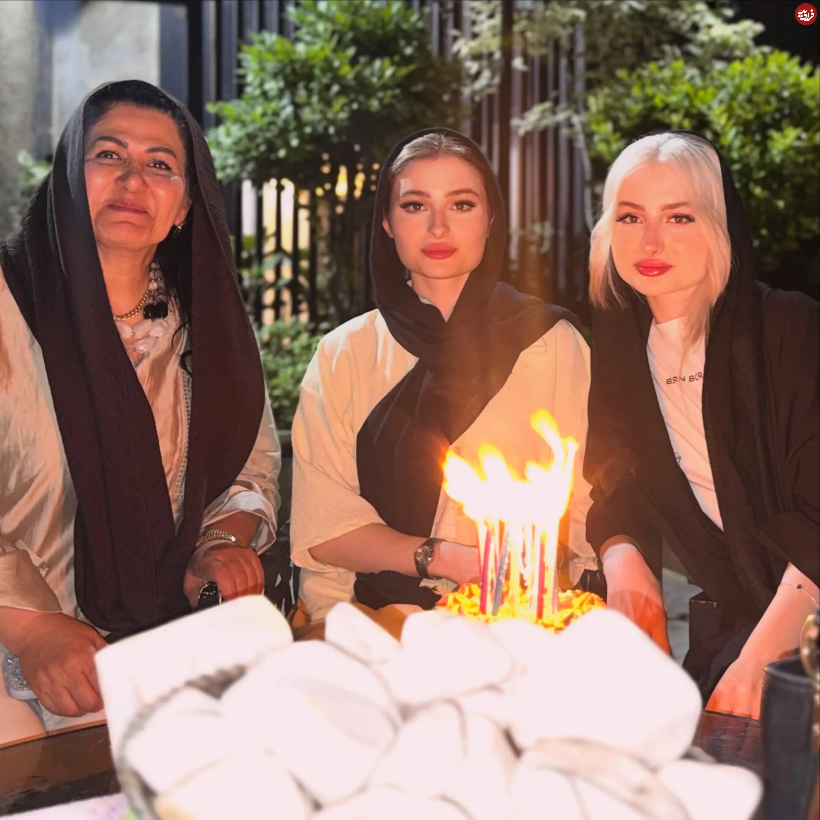 nikaforghaniofficial_1785685579_3954938560506875075_6897872923