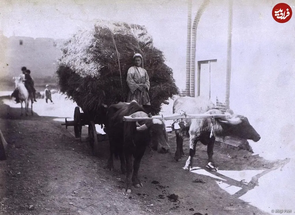 گاری علوفه