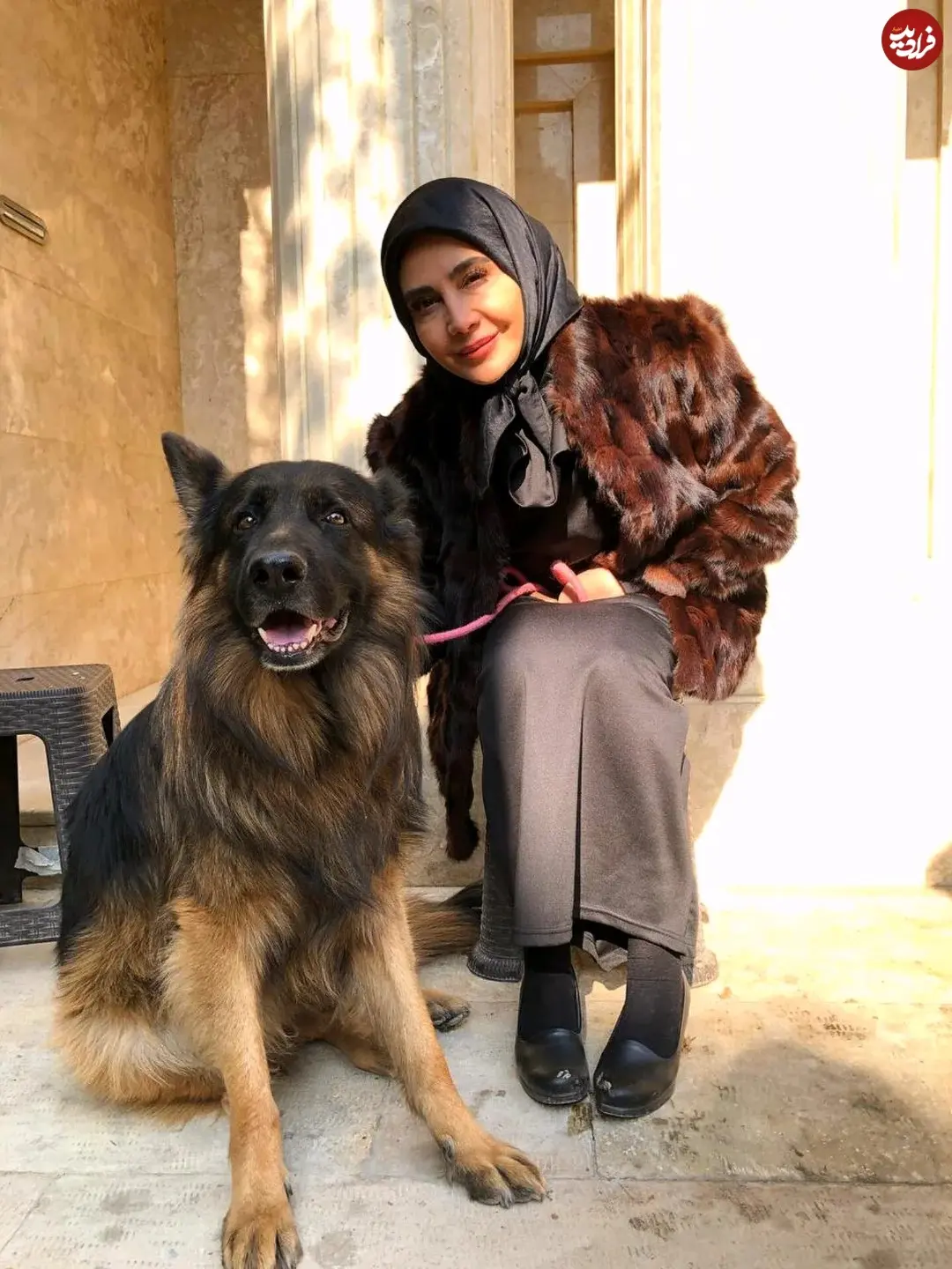 remo_happy_dog_1765366401_3784490132012086621_44665653648_11zon
