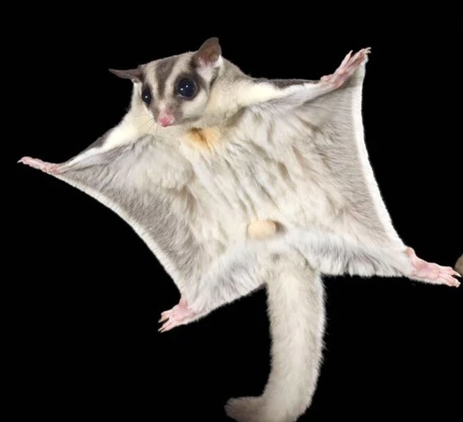 70