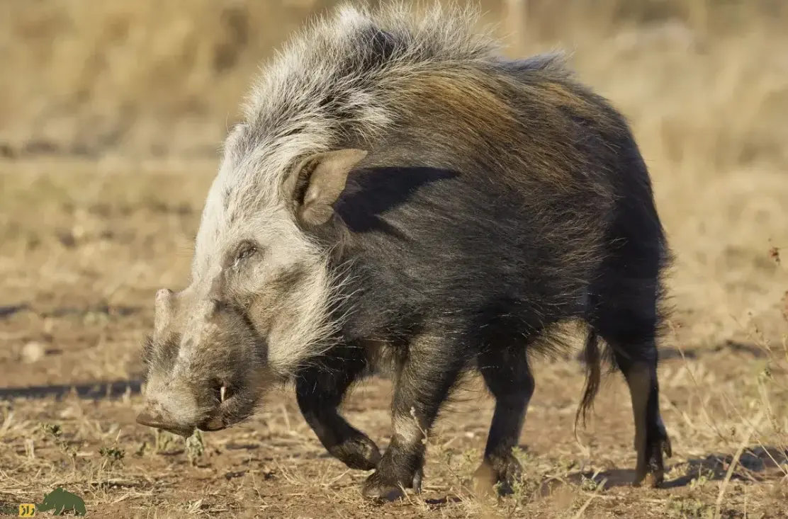 Screenshot 2026-01-21 230810