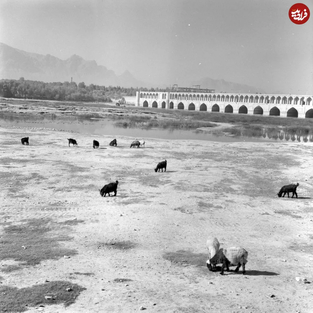 agsphoto_29408_full (1)