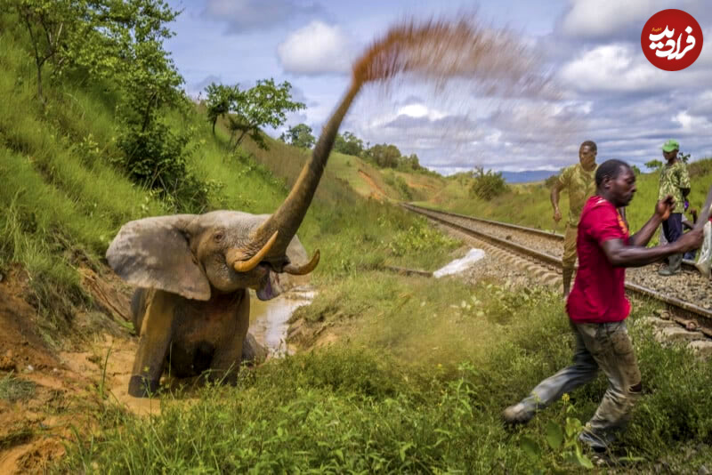 wildlife-photographer-best-photos-08
