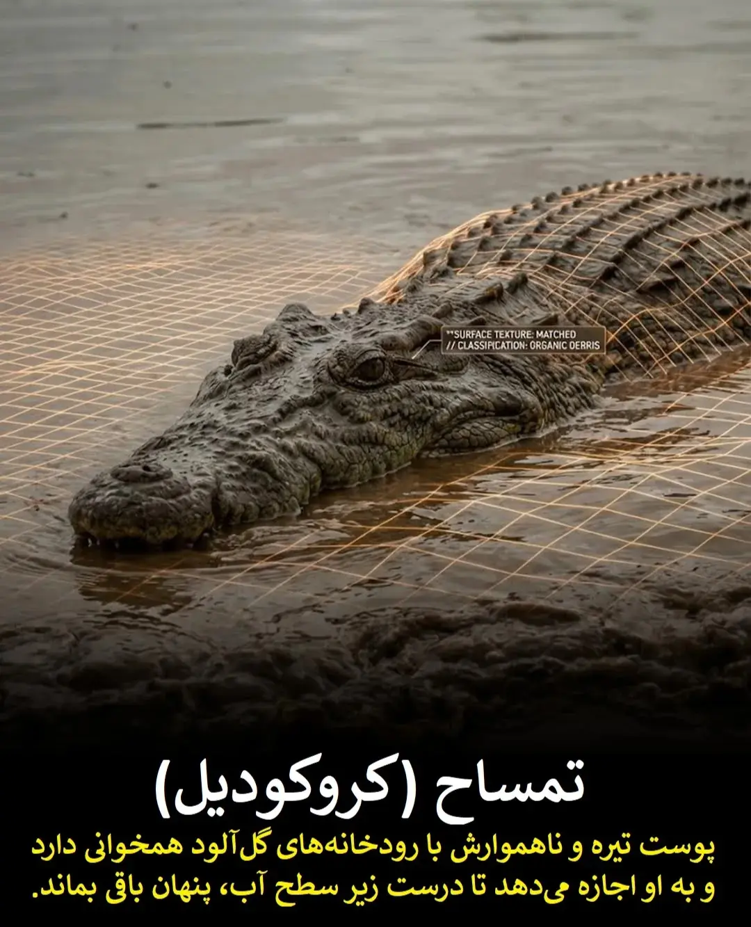 e6886c60ZTp3ZWJwfGY6MjQ5MTYyNy5qcGd8ZnVpOjIzODU3OTR8bDpmYXx2OjE