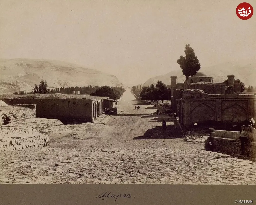 شیراز