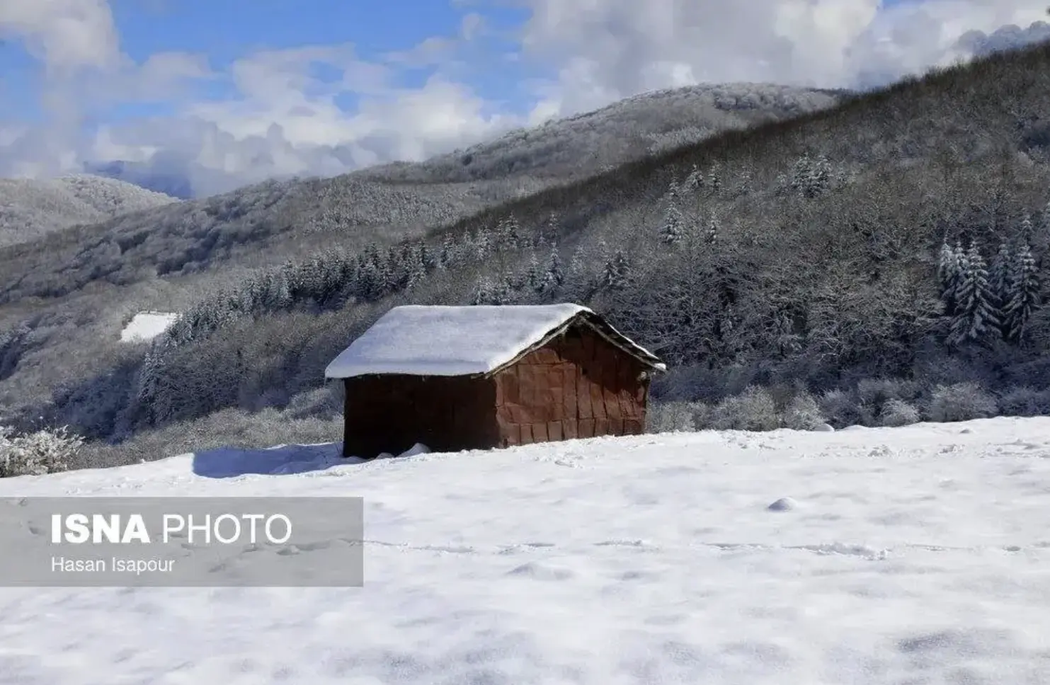 Screenshot 2026-01-16 201752