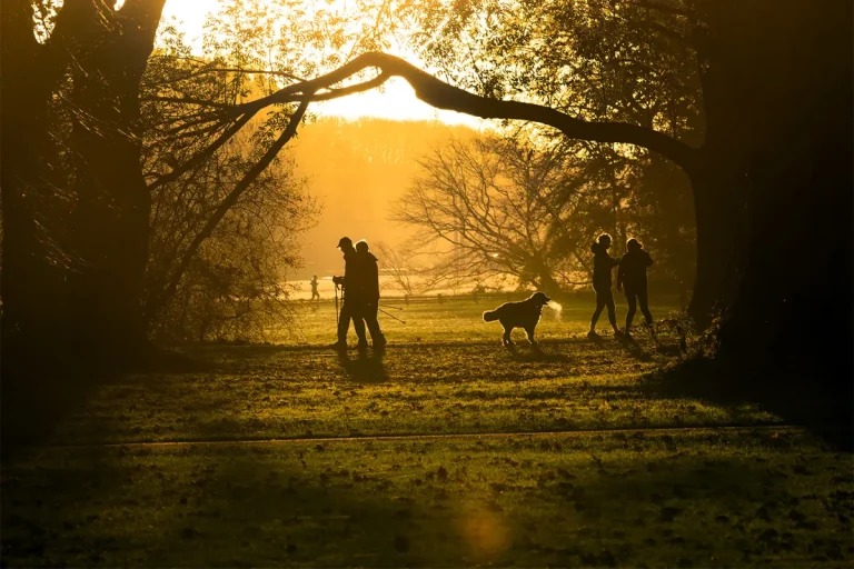 101_11zon