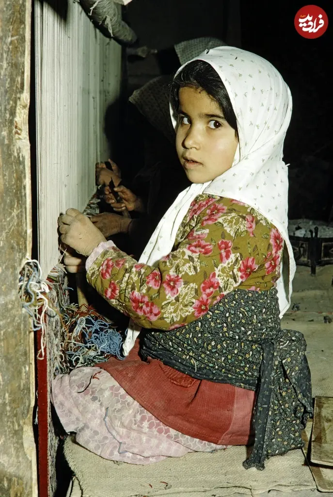 دخترک قالیباف