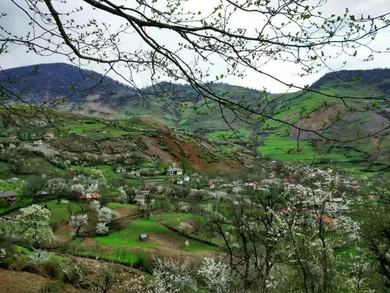 روستای ارده کجاست؟؛ آرامش مطلق و دیگر هیچ! روستای ارده کجاست؟؛ آرامش مطلق و دیگر هیچ!
