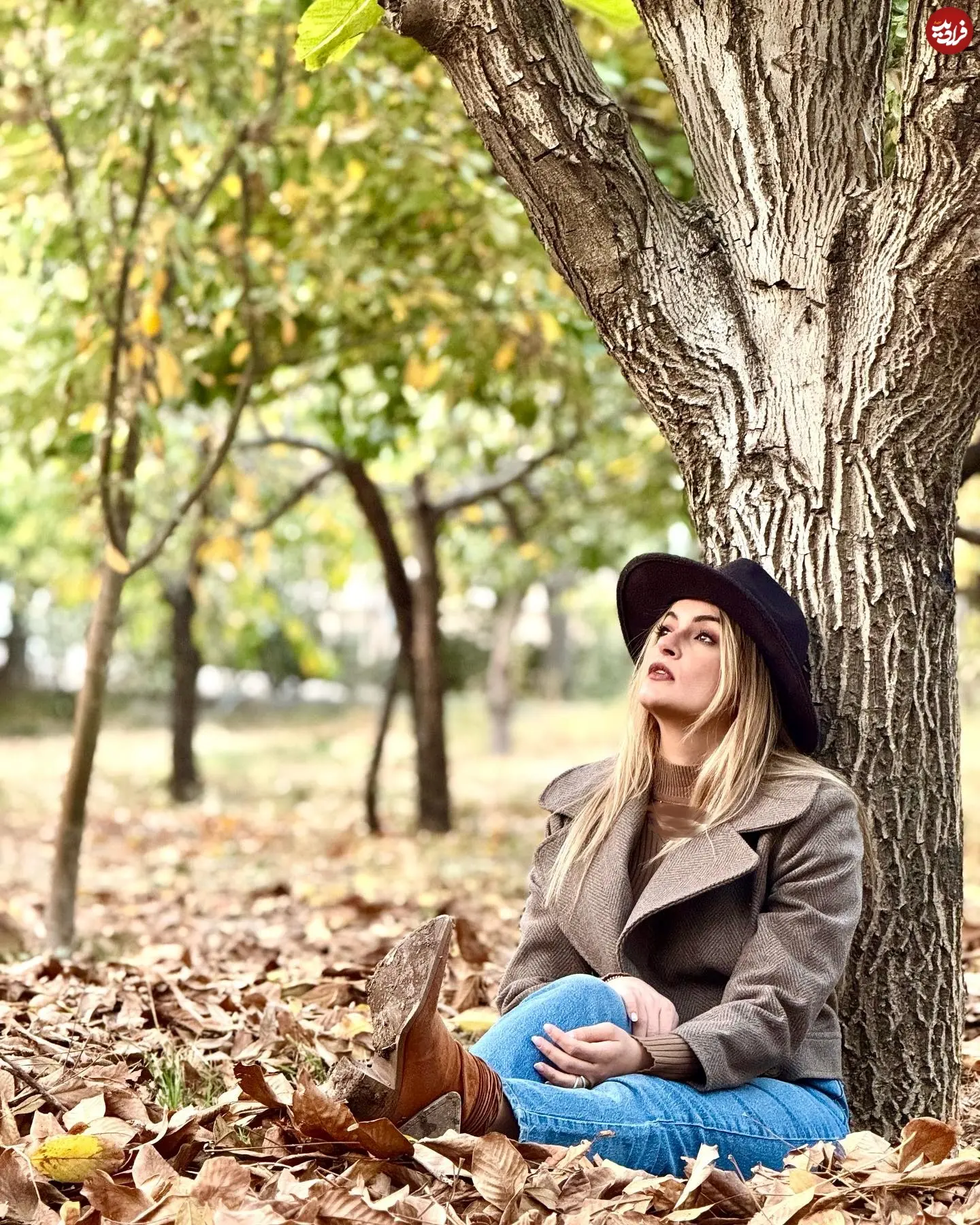 niloufar_parsa_1762785816_3762842612638941817_1041017484