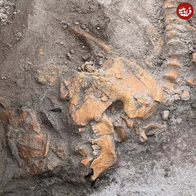 تصاویری خاص و دیدنی از یک قبر 4 هزار ساله در نروژ