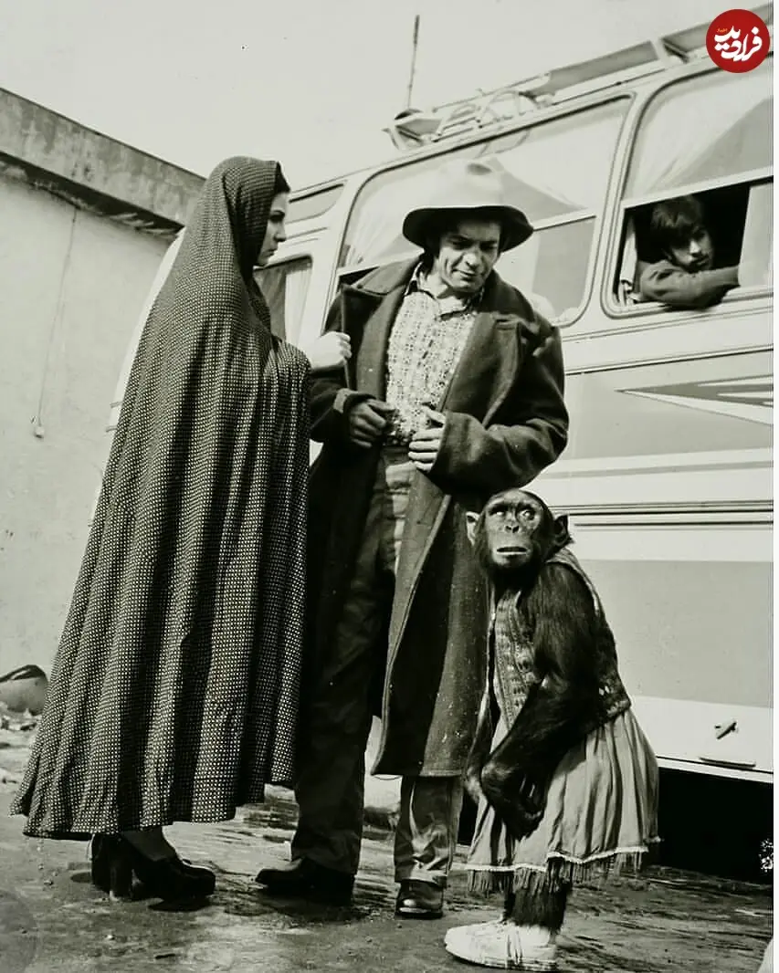 filmfarsiofficial_1559970452_2061504032876063201_3230002639