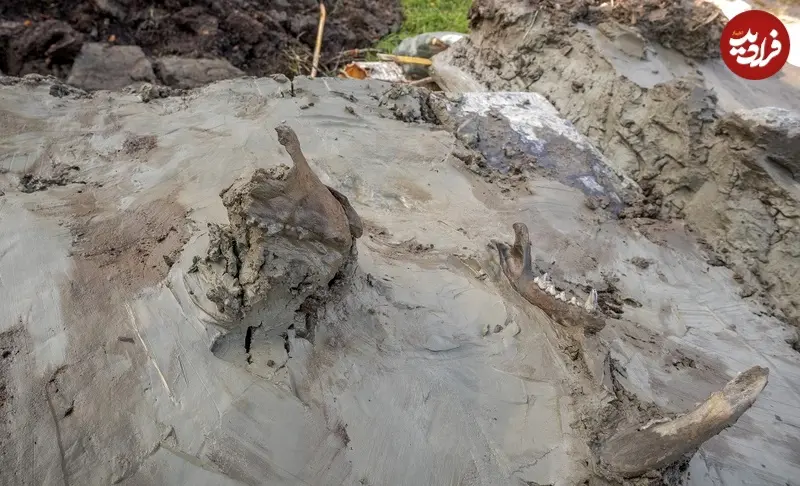 8b27f17432192a19_org