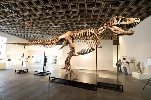 61