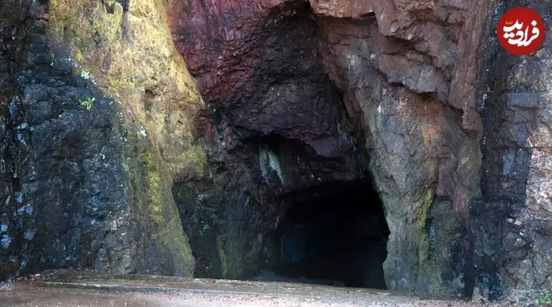 Screenshot 2025-12-24 123450