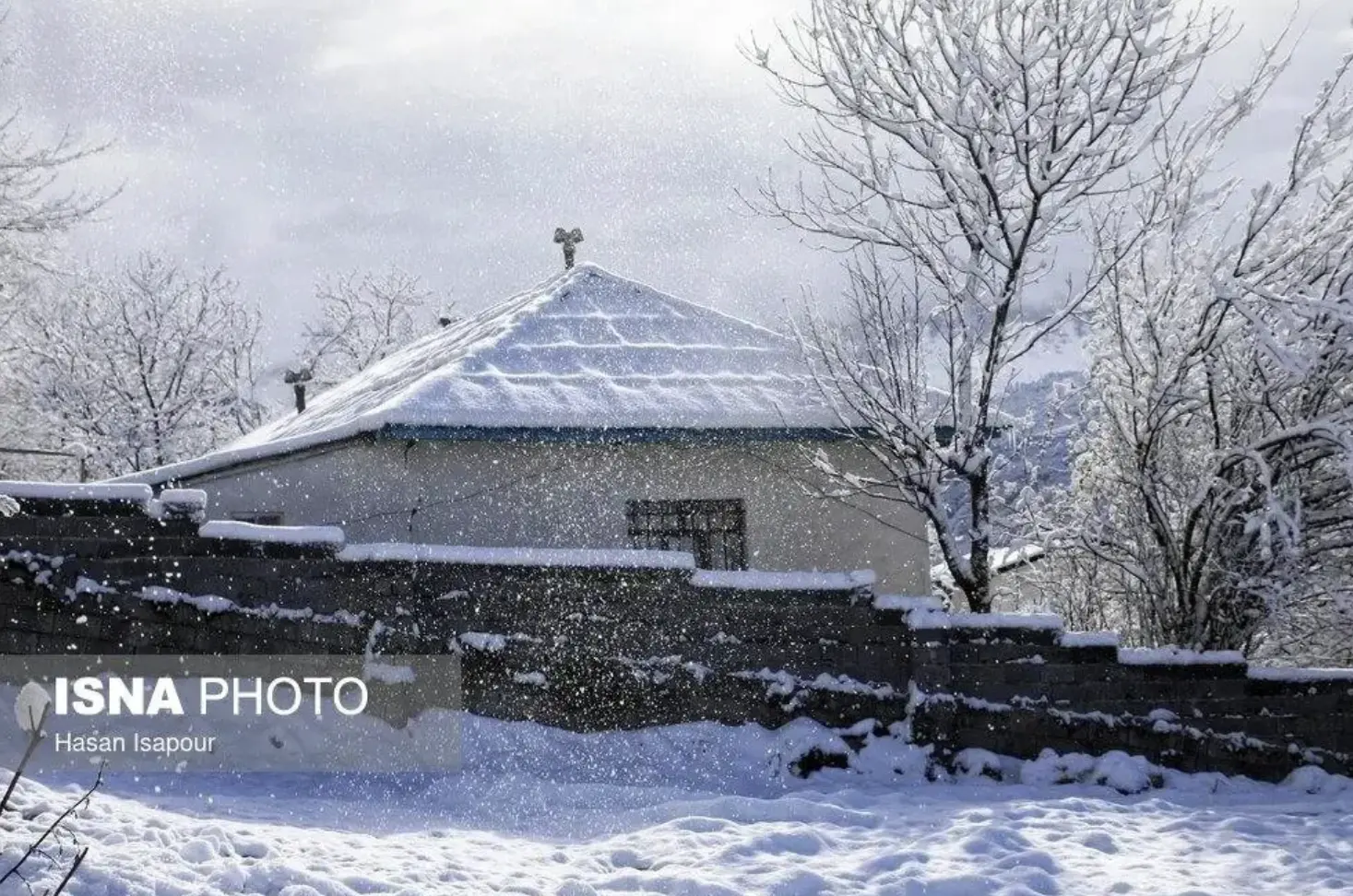 Screenshot 2026-01-16 201726