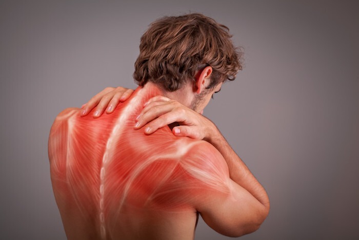 دوره سلامت عضله چیست؟ شاخصی که می‌تواند طول عمر شما را تعیین کند