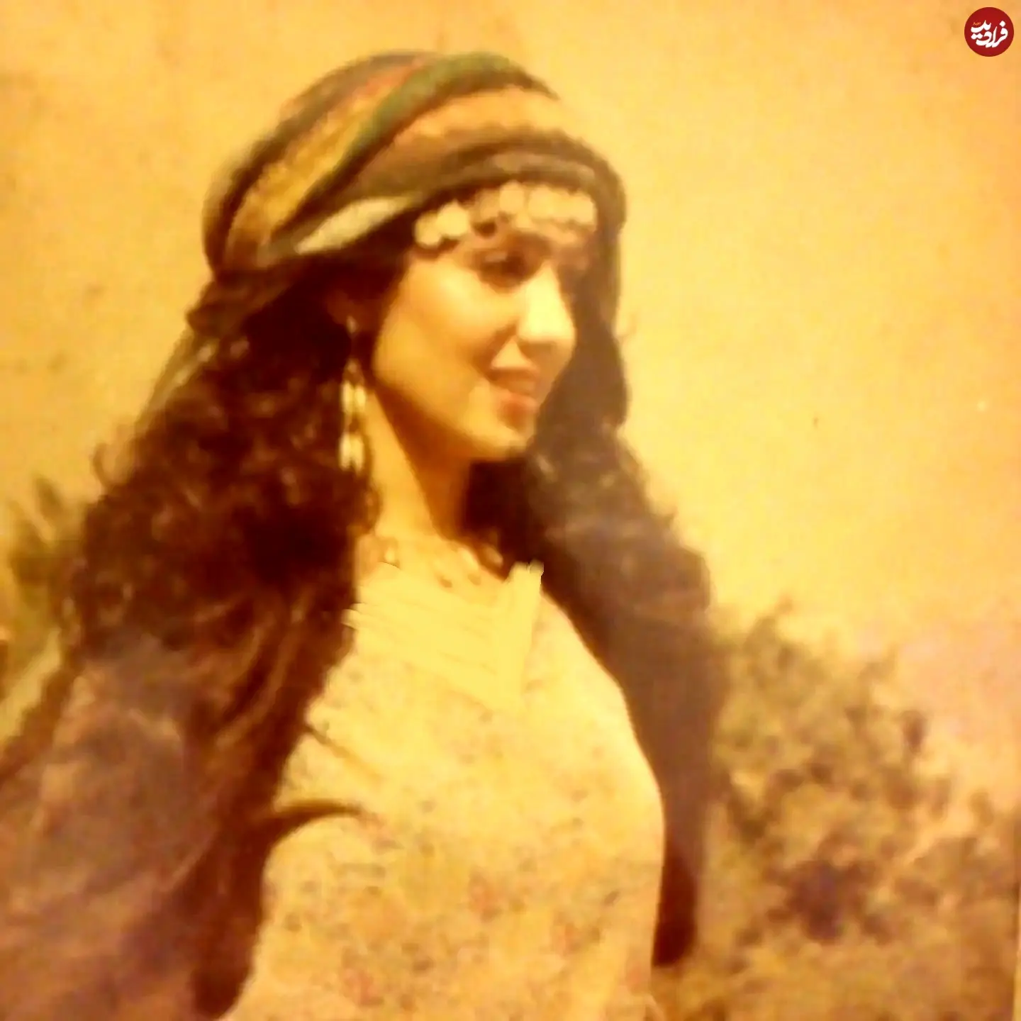mahdi_taghipourofficial_1784146893_3942032173812405142_4947547150_11zon