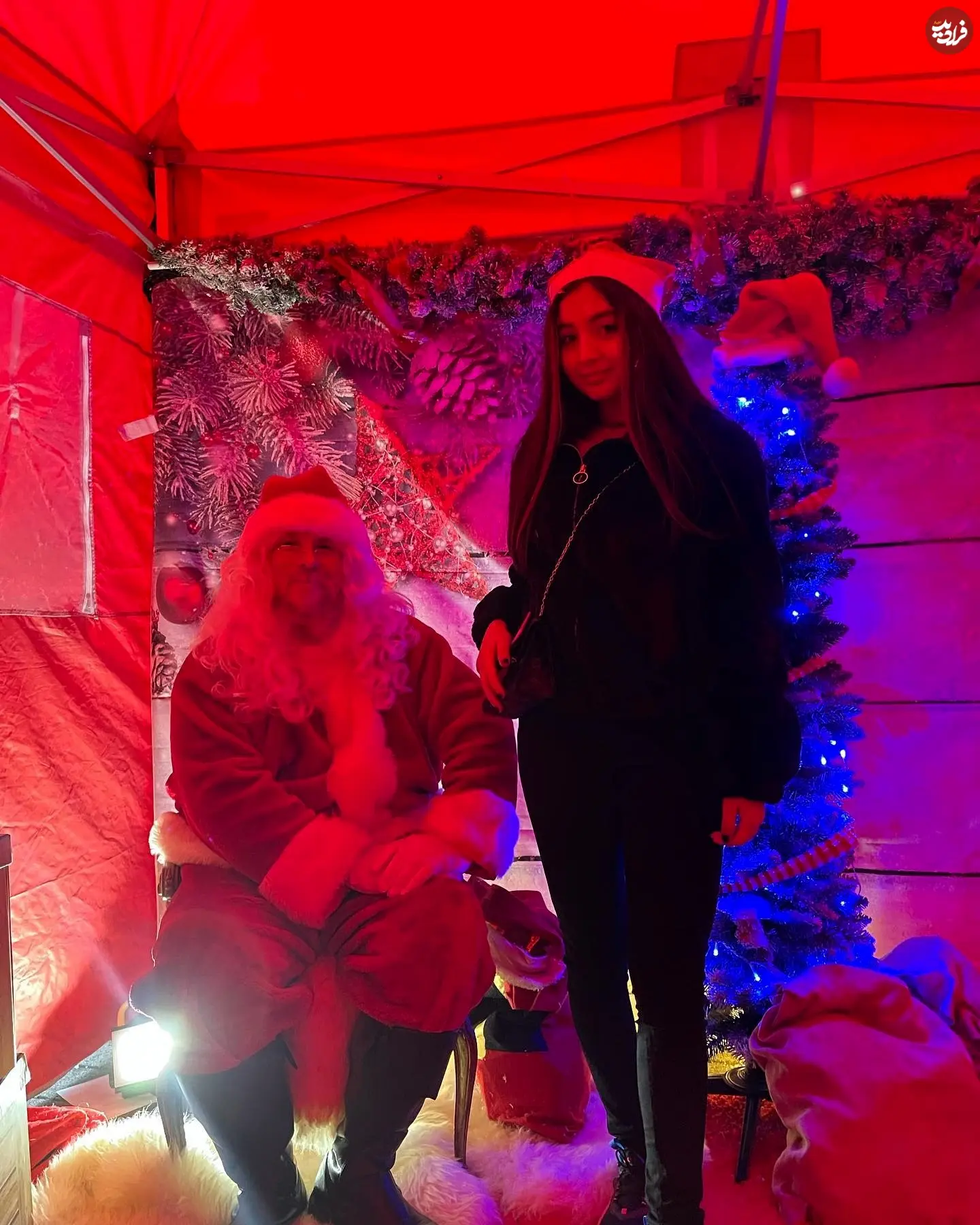 rozhantaghizadeh_1640444243_2736567120502433179_1525067656