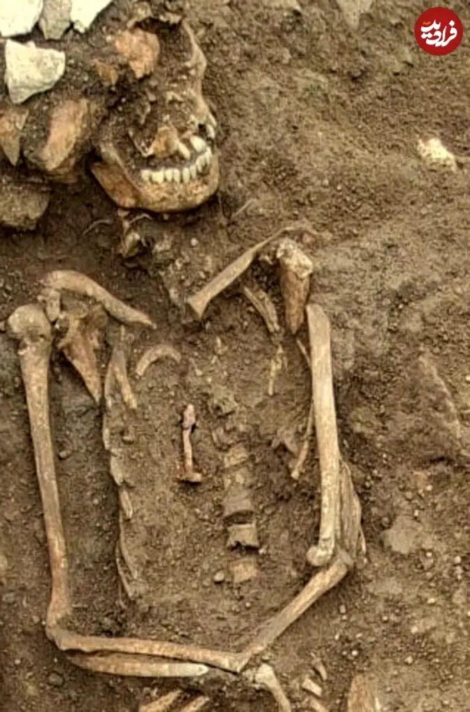 They-Drove-Nails-Into-the-Dead-676x1024