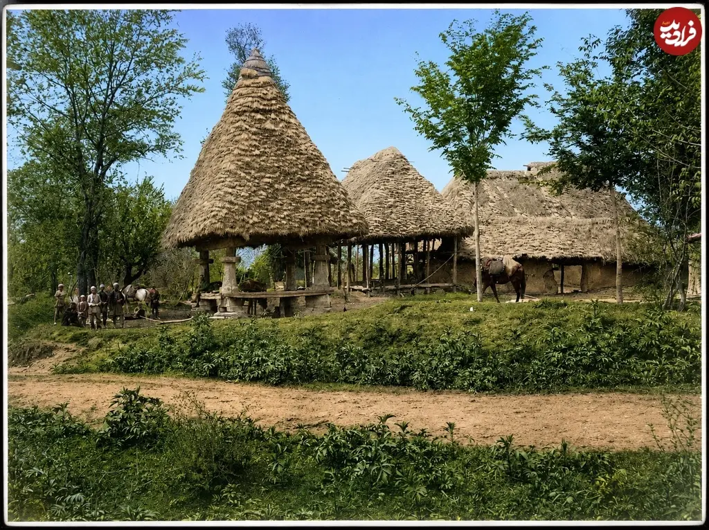 یک