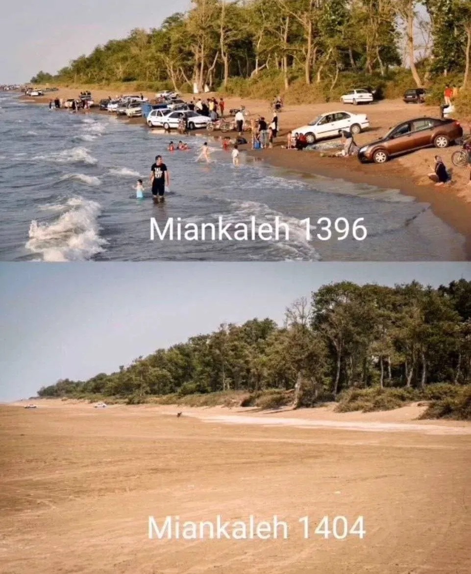 75_11zon