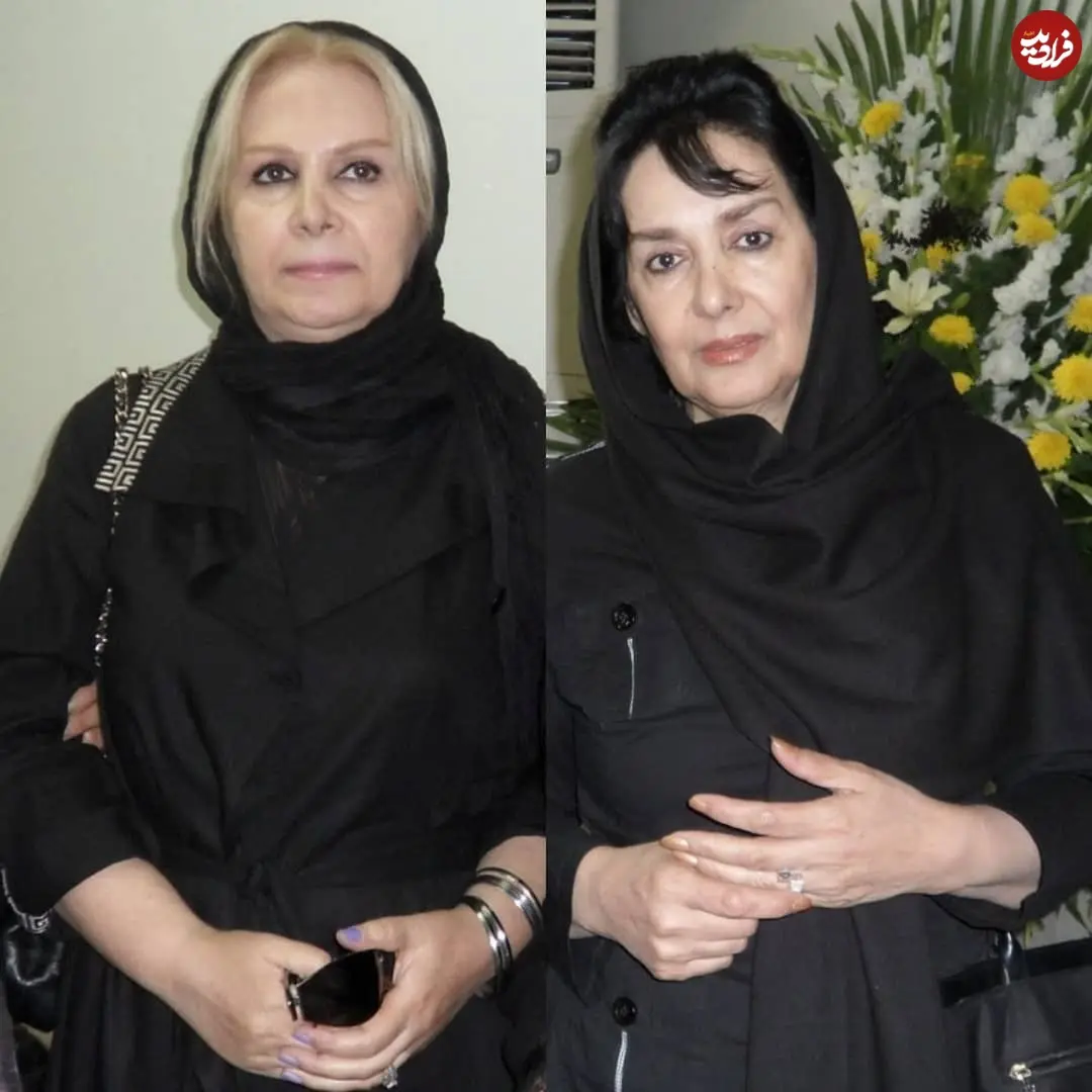 hamid_pahlavann_1637408238_2711099263246600697_7490305339