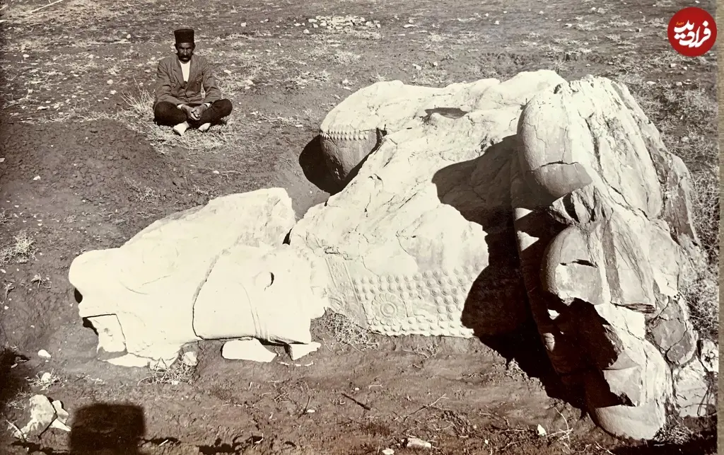 گاو بالدار