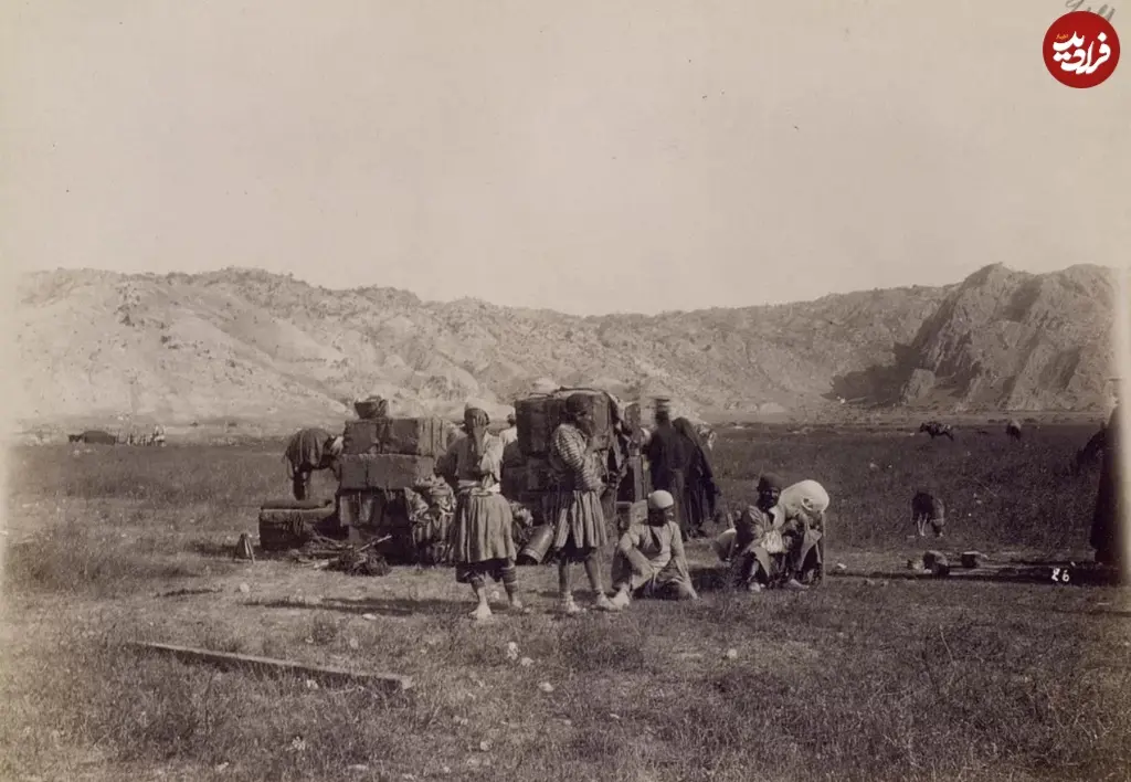 بوشهر
