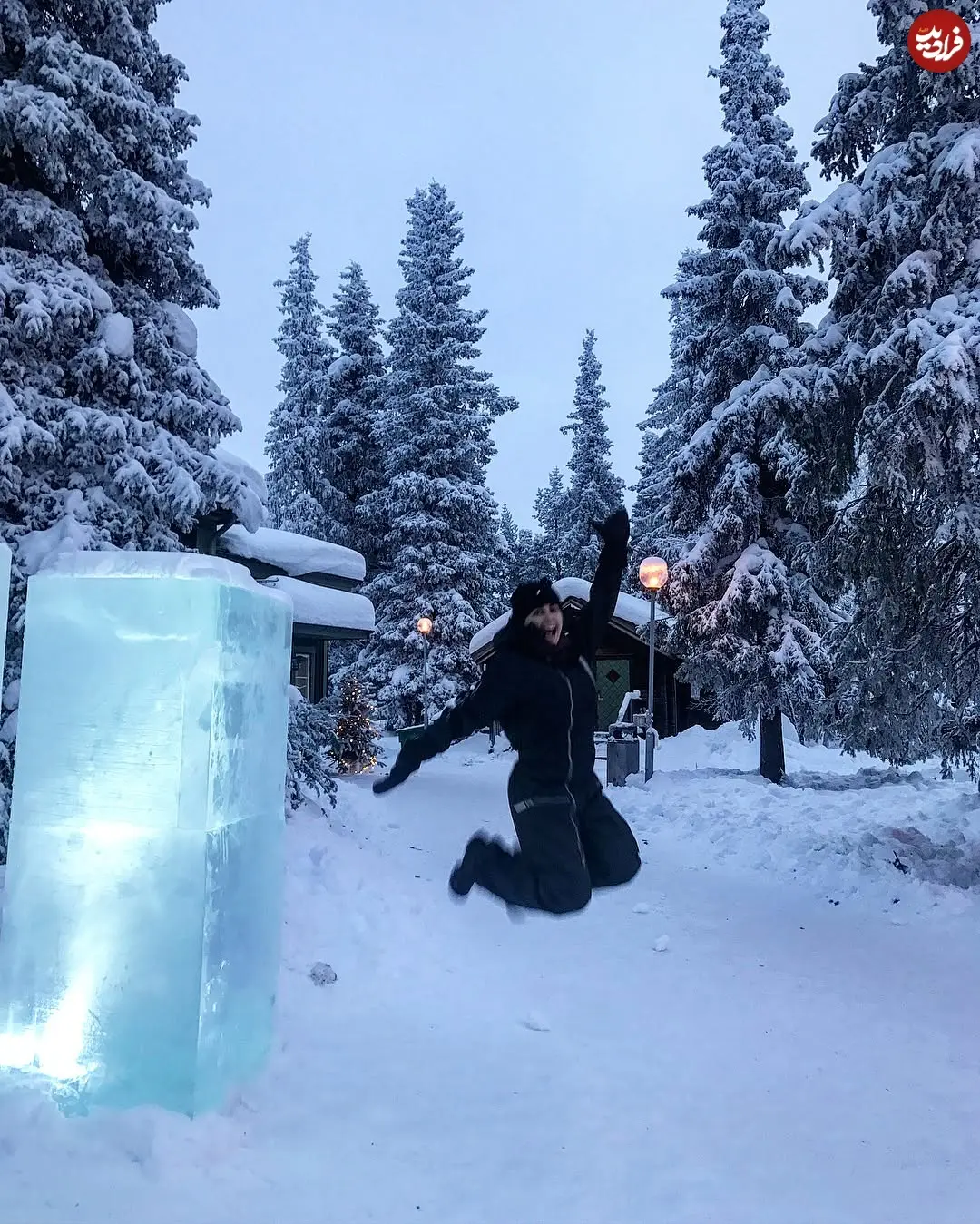 elnazshakerdoost_1514897375_1683403658072688460_279803529