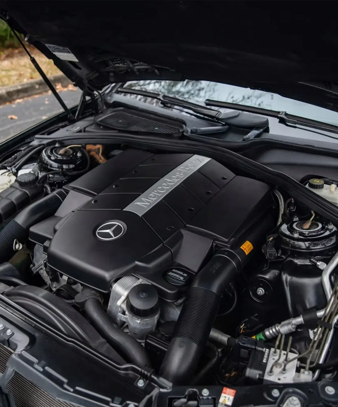 b0f15fb0ZjoyNDkyMzUyLmpwZ3xmdWk6MjM4NjQzOHxsOmZhfHY6MQ