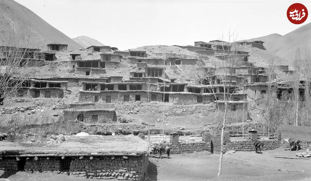 فشم 12