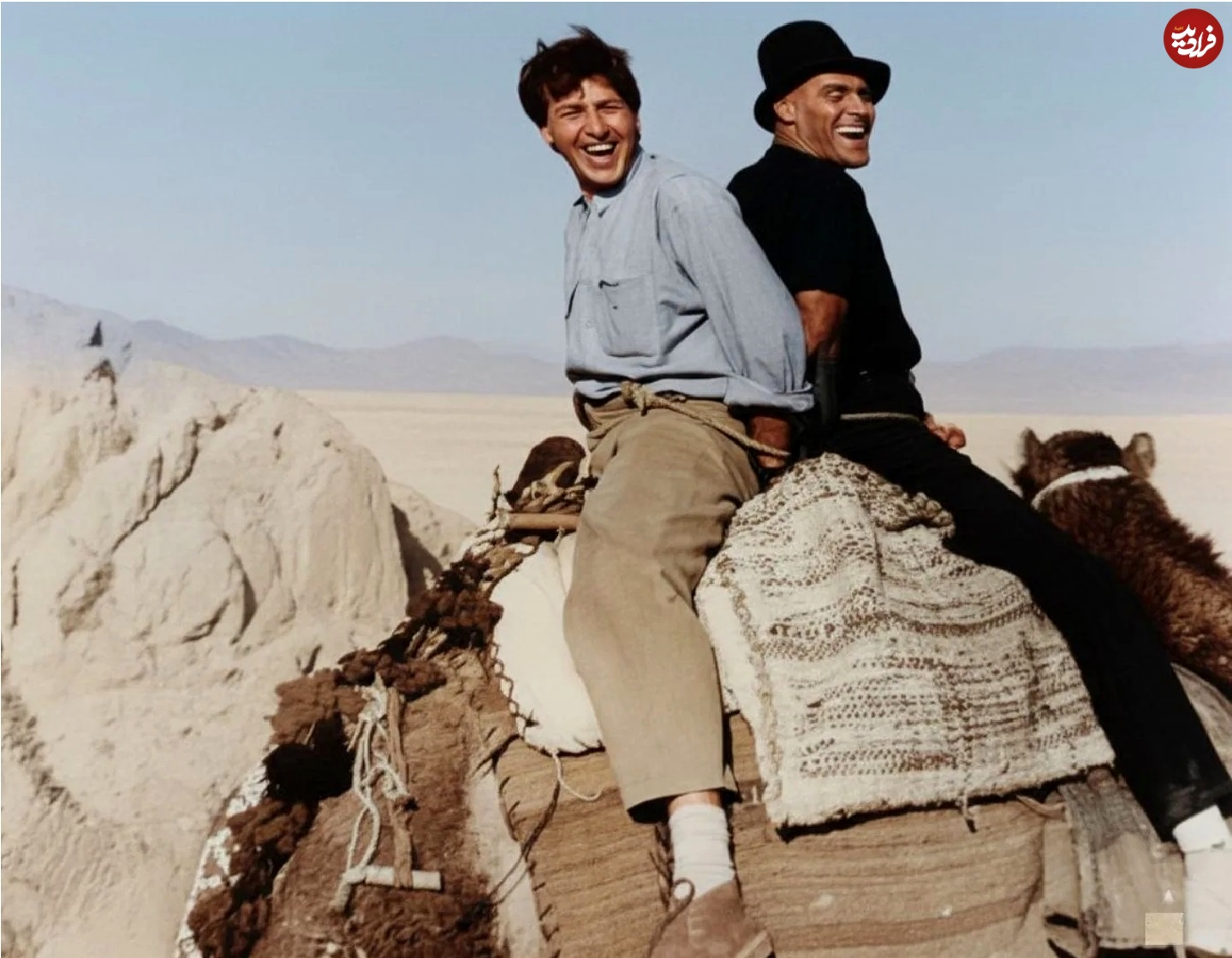 mehdi.mehrian1365_1761065993_374841568945611zon