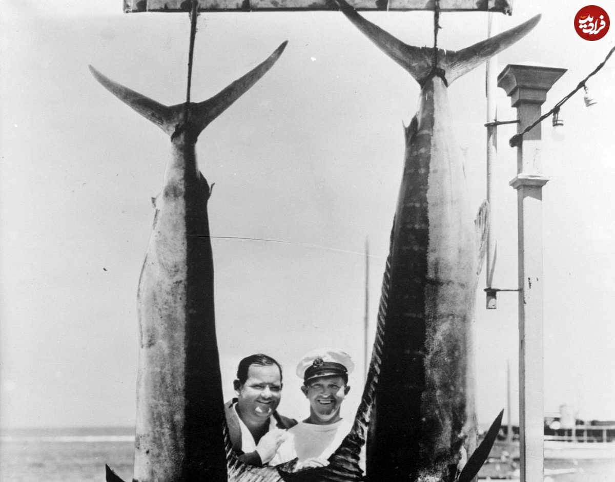 عکس| سفر در زمان؛ «لورل و هاردی» در کنار دو ماهی غول پیکر؛ سال 1308 عکس| سفر در زمان؛ «لورل و هاردی» در کنار دو ماهی غول پیکر؛ سال 1308