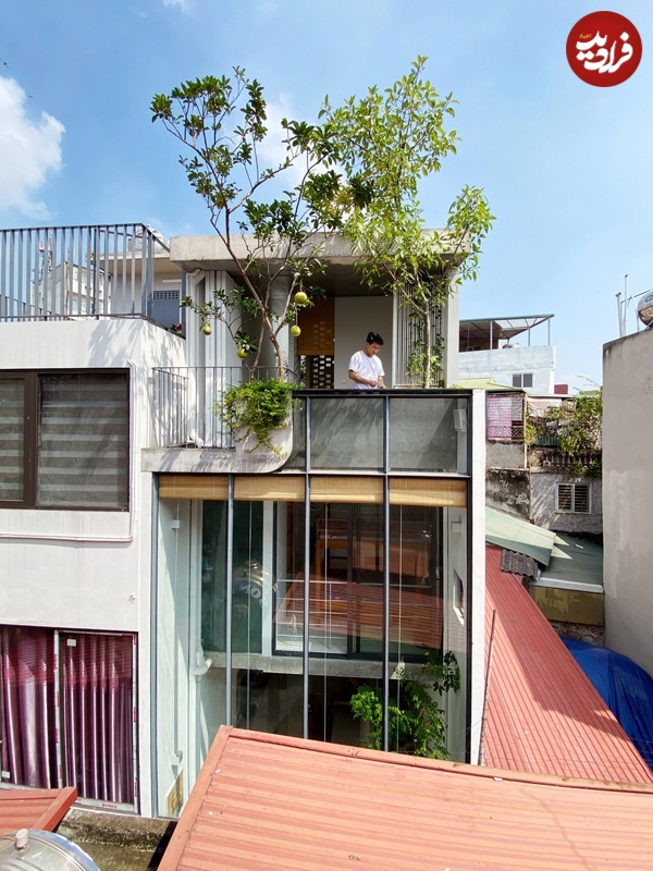 th-house-oddo-architects_dezeen_2364_col_3-scaled