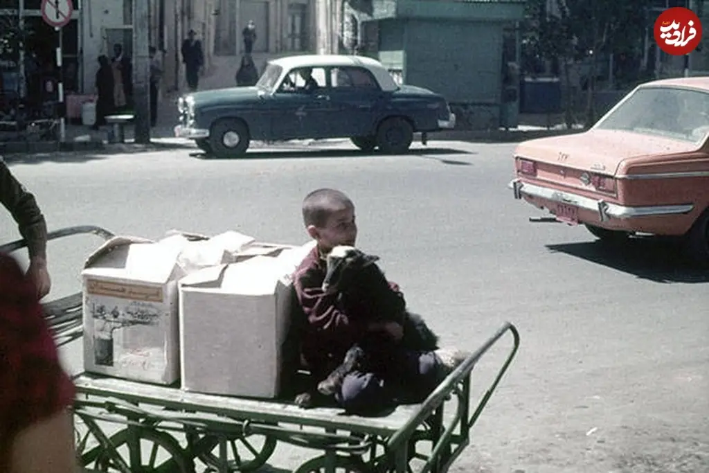 بچه و بز همدان 53