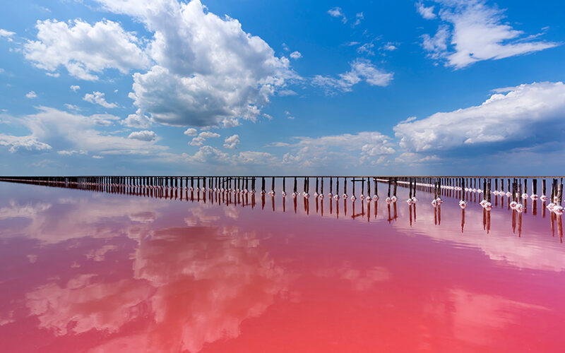 pink-lake-800x500
