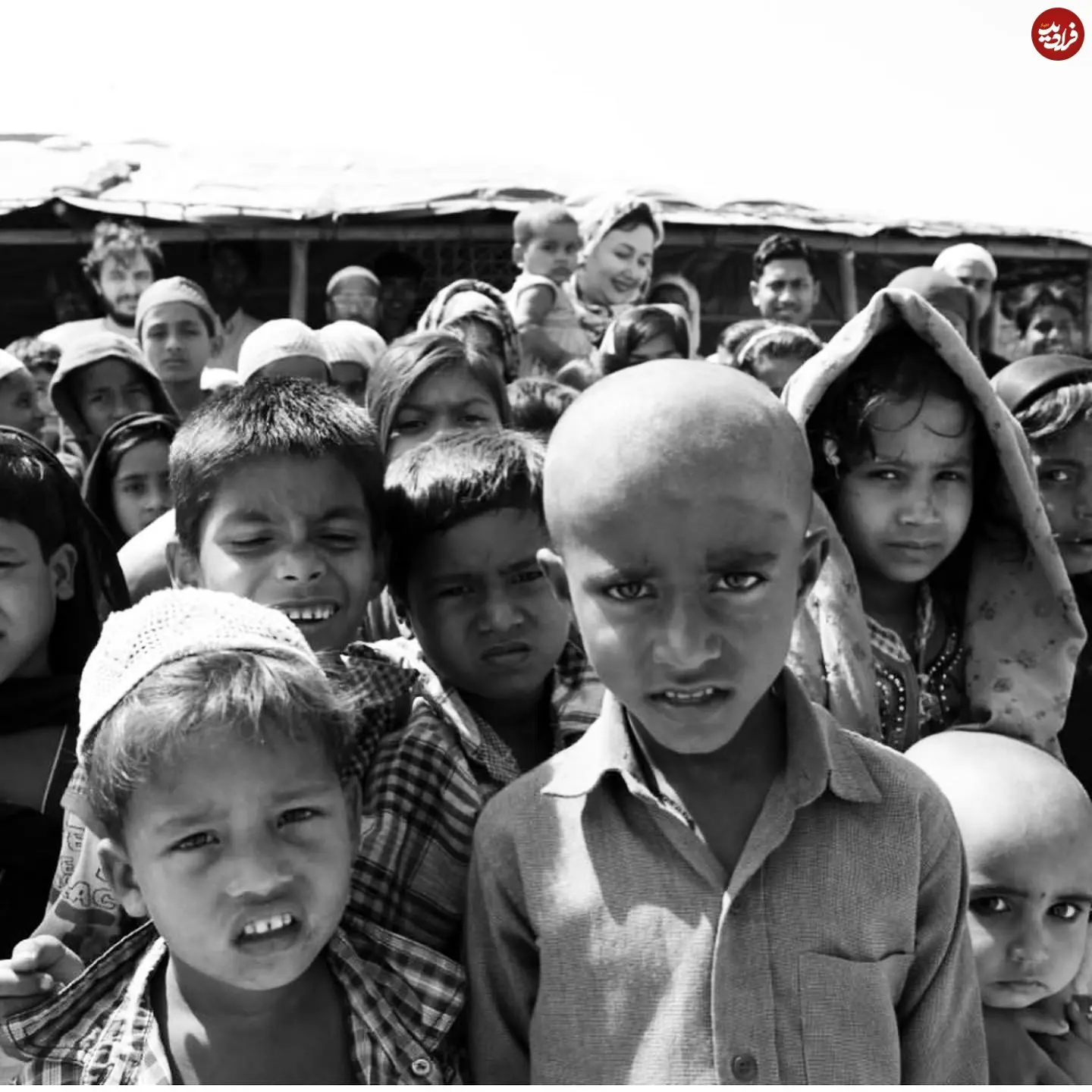 katayoun.riahi_fanpage_1570200007_2147315754759143271_12551511947