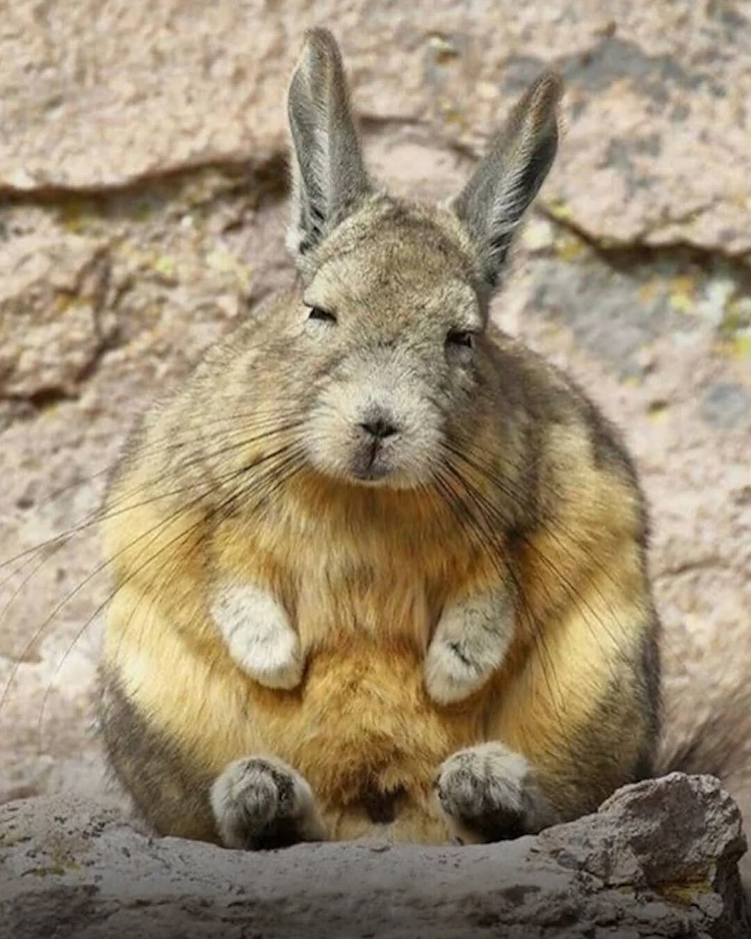 347