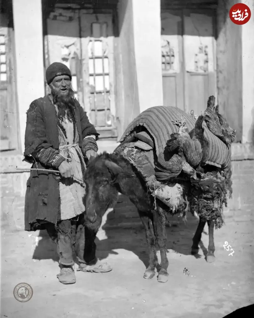 oldpicir_1660675332_2906277793783312351_23227220173