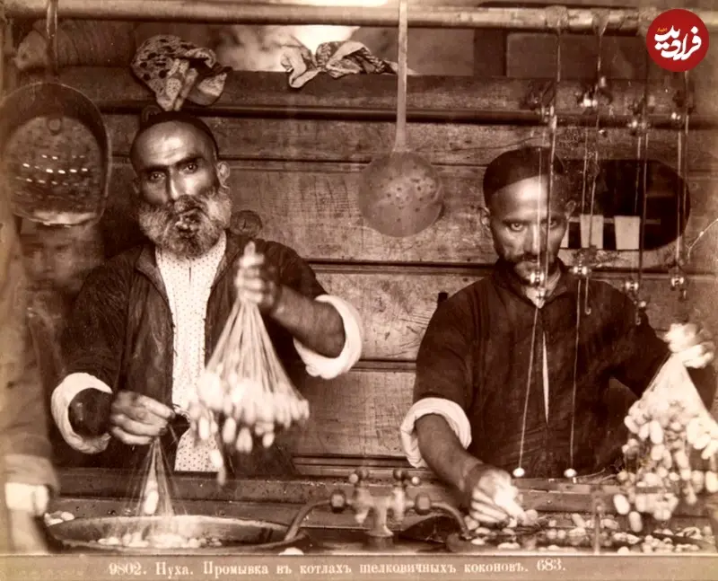 ابریشم شکی