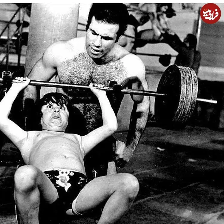 filmfarsiofficial_1559621991_2058580924320365935_3230002639