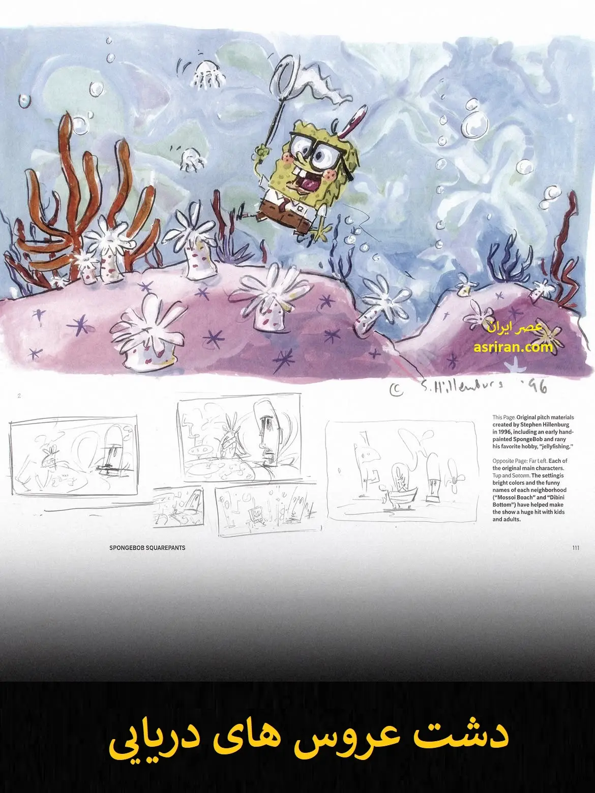 31