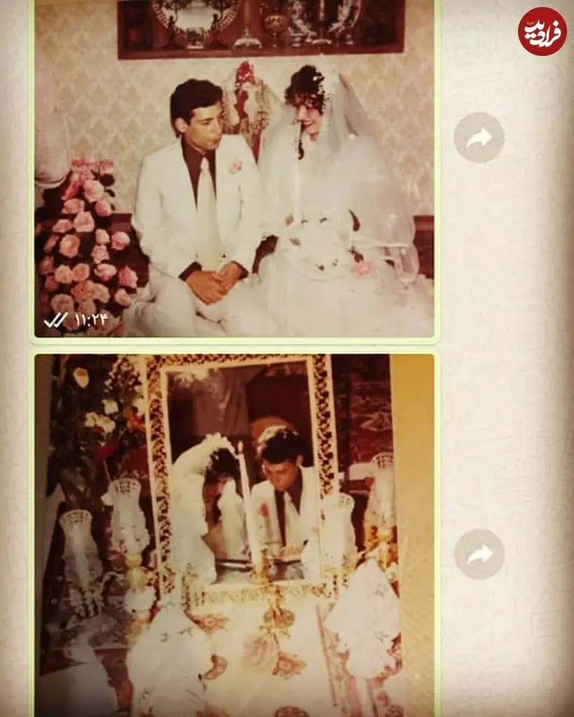 farahnaz_manafizaher_1593673887_2344228935077906269_2303918968