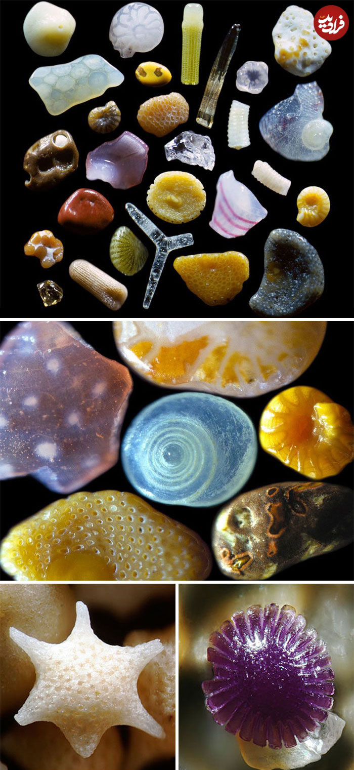rarely-see-fascinating-photos-31