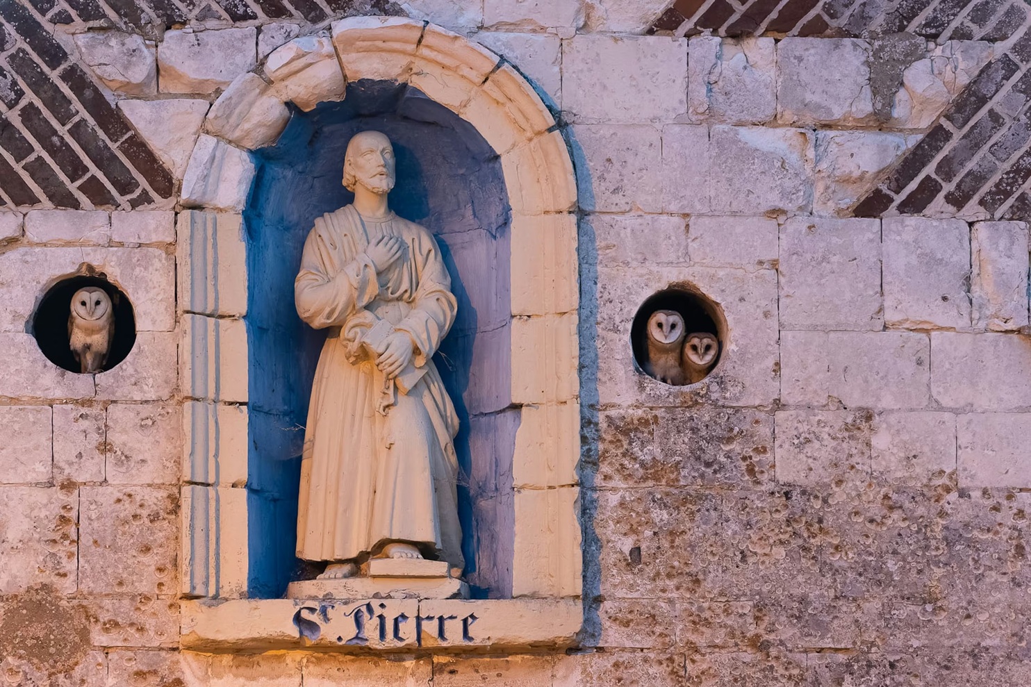 7