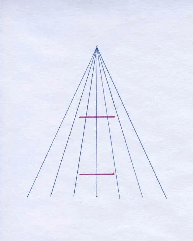 81