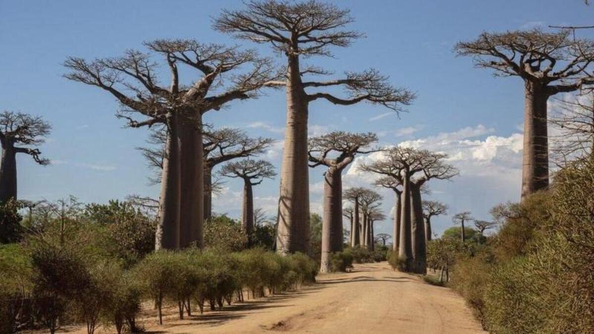 100