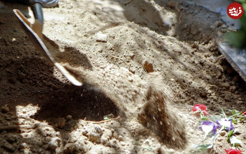 N3639235-6535282