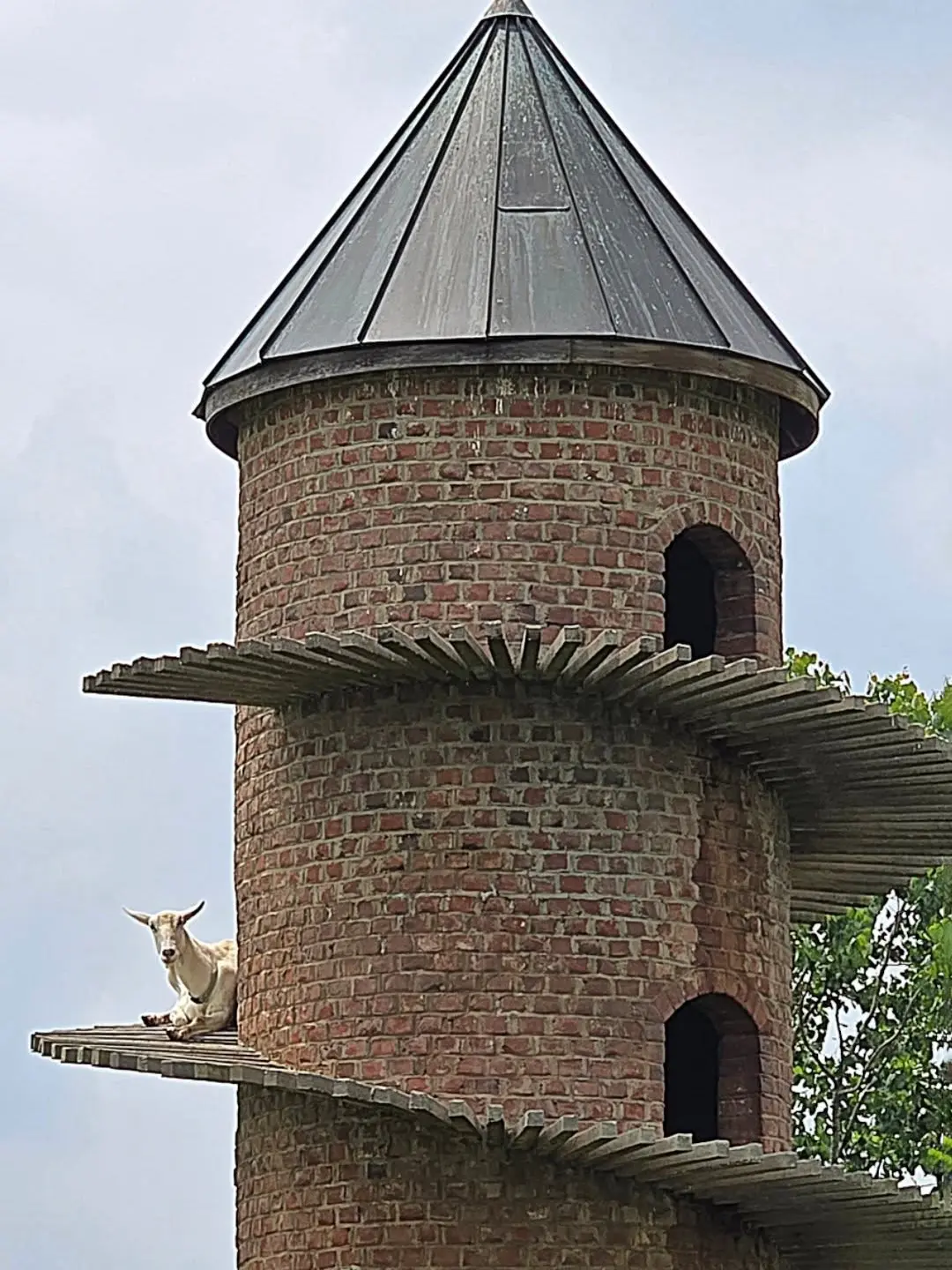 205